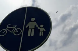 „Ne tik sau“ Alytuje: nuo senjorų dienų, žaidimų aikštelės iki grojančio fontano ir ... dėžučių ekskrementams