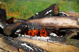 Kaip ant ugnies kepti maistą, kuris sveikatai kenktų mažiau