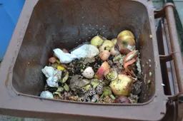 Maistui daug išleidžiame ir daug jo išmetame. Kas daugiausia?