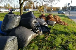 Iš Putinų lapai vežami ne į „Toksiką“, o Takniškes