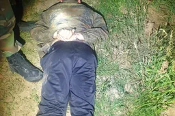 „Fest“, „Minsk“, „Neman“...