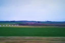 Miklusėnuose ir Raudonikiuose dioksinai rasti gaisro užterštuose žiemkenčiuose ir žolėje