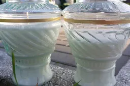 Žvakių detektyvas: ar mus apgaudinėja?