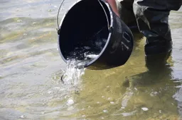 Baigti šiųmečiai sykų veisimo į Daugų (Didžiulio) ežerą darbai