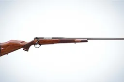 Alytaus rajone medžioklės metu pašautas vyras