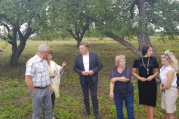 O. Baliukonės atminimą siekiama įamžinti gimtinėje