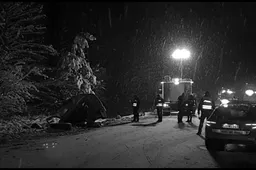 Tragiška žinia: avarijoje žuvo visi automobiliu į Alytų važiavę žmonės