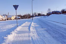 Daugiabutį Alytuje statys Nemuno gatvėje