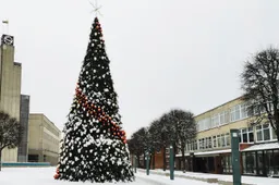 Nauji protrūkiai Dzūkijoje – Alytaus centre ir Varėnoje