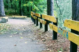 Iš sanatorijos pabėgęs vyras rastas miškelyje