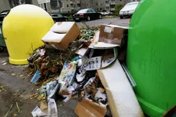 Lietuviams svarbiausias aplinkosaugos klausimas – nesutvarkytos atliekos