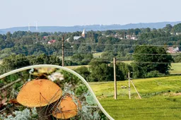 „Dzūkų kalendorus” – Alytuje ir Butrimonyse