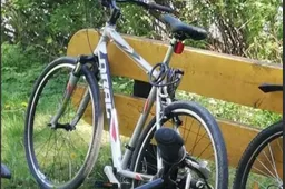 Matėte pavogtą dviratį „Drag“? Atsiliepkite!