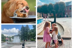 Alytuje – 9 geriamojo vandens stotelės