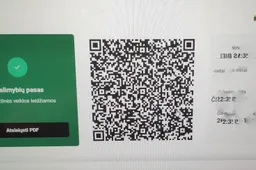 Reikalavimas vaikams iki 16 metų turėti galimybių pasą bus laikinai stabdomas