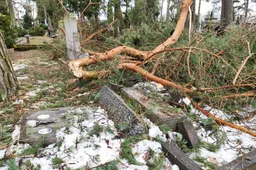 Alytaus miesto kapinės – jau tvarkomos