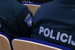Policijos metų statistika: vyrauja smurtas šeimoje, vagystės, eismo pažeidimai ir disponavimas narkotikais