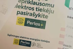 Elektros kaina Lietuvoje 2023 metais gali siekti 64 centus, dujų – apie 4 eurus