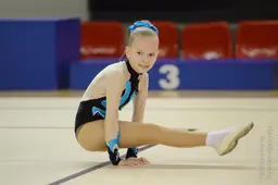 Lietuvos čempionate Alytuje dėmesio tikisi per 30 vietinių gimnasčių