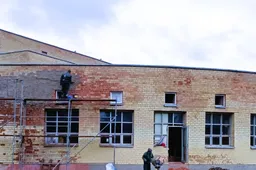 Aptvarkė buvusio baseino pastatą, ant jo jau augo medžiai