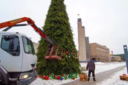 Eglutė Alytuje nupuošta – kiek miestui kainuoja šventiniai grožiai?