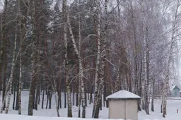 Narkotikų aptiko keleivio piniginėje