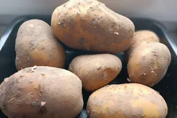 Dažniausiai prekybininkai netinkamai ženklina bulves