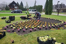 A. Žemaičio gėlininkai papuošė rajono erdves