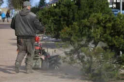 Pradėti valyti šaligatviai ir kitos Alytaus miesto teritorijos