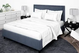 Kodėl lateksinis čiužinys turėtų atsidurti kiekvieno miegamajame?