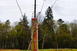 Gamtos stichijų pamokos išmoktos – vis daugiau elektros tinklų tiesiama ne oru, o žeme