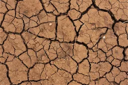 Sausra Dzūkijoje paskelbta Alytaus ir Lazdijų savivaldybių teritorijose, stichinė riba artėja Birštone, Druskininkuose ir Varėnoje