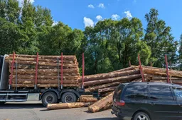 Informuoja skaitytojai: Iš miškovežio pabyrėjo rąstai