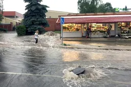 Liūtis Alytuje vėl sėmė gatves