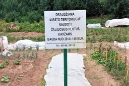 Perspėjimas iš Raudonkalnio į Žirgų gatvę persikėlusiems daržininkams