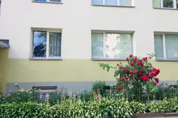 Per langą įsibrovęs vyras moterį pavijo laiptinėje