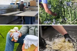 Savivaldybė siūlo pinigų smulkiam ir vidutiniam verslui