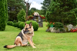 Gražiausiai besitvarkantiems – vertingi prizai