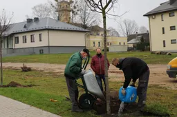 Druskininkai ir seniūnijos bus dar žalesni