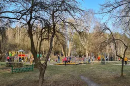 V. Vencius: „Ar tikrai Jaunimo parke reikalingi tokie pokyčiai?“