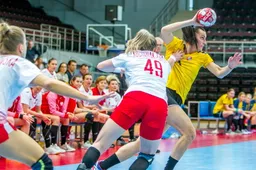 Europos čempionato atranką Alytuje Lietuva baigė su Lenkija