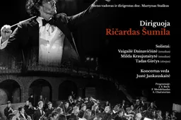 LMTA simfoninio orkestro koncertas Alytuje