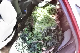 Druskininkuose sulaikė vietos gyventoją, automobiliu gabenusį beveik kelis tūkstančius pakelių