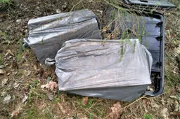 Sulaikę vieną nešiką rado dar 11 ryšulių, šiais užderėjo ir Čepkelių rezervate