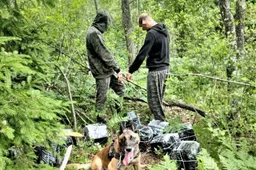 Gaudė nešikus iš Alytaus, Merkinės ir vietos gyventojus