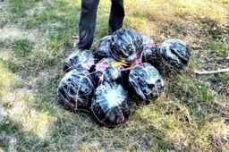 Lazdijų rajono gyventojas sulaikytas su „kamuoliais“