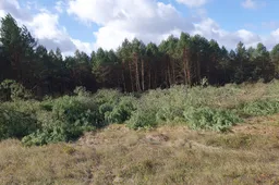 Alytaus aerodromas taps erdvesnis ir saugesnis skrydžių vykdymui