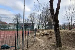 Tvarko pėsčiųjų taką