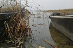 Žuvinte – daugiau galimybių uogauti, grybauti ir žvejoti aplinkiniams