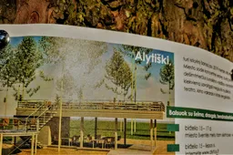 Miesto sodo „plaščiadkės" gaivinimo idėja riboženklių „Alytus-Myliu" sumanymą nugalėjo vienu balsu